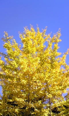 081113_133515.jpg